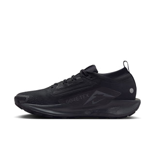 Nike Mens Pegasus Trail 5 Gore-tex | Black/Anthracite