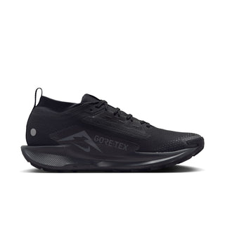 Nike Mens Pegasus Trail 5 Gore-tex | Black/Anthracite