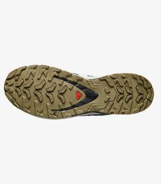 Salomon XA Pro 3D V9 Goretex | Dark Blue/Icicle