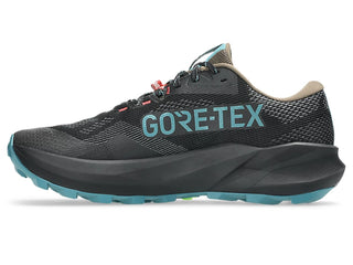 Asics Mens Trabuco 14 Goretex | Black/Misty Pine