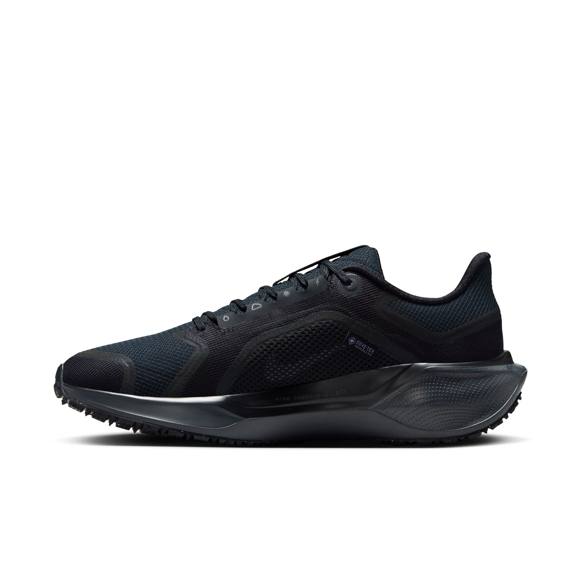 Nike Womens Pegasus 41 Gortex Black/Anthracite – Taskers Sports