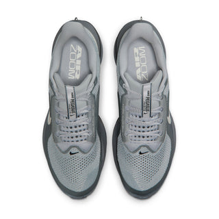 Nike Mens Pegasus Premium | Wolf Grey