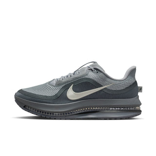 Nike Mens Pegasus Premium | Wolf Grey