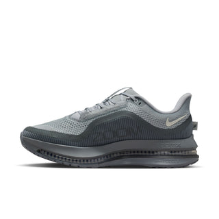 Nike Mens Pegasus Premium | Wolf Grey