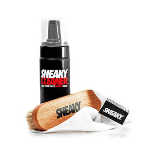 Sneaky Shoe Cleaning Kit