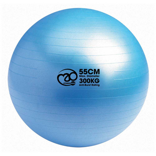 Fitness Mad 55cm  Swiss Ball Pump & Online Guide - Taskers Sports